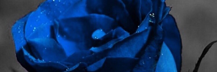 TatiCreative's profile banner image