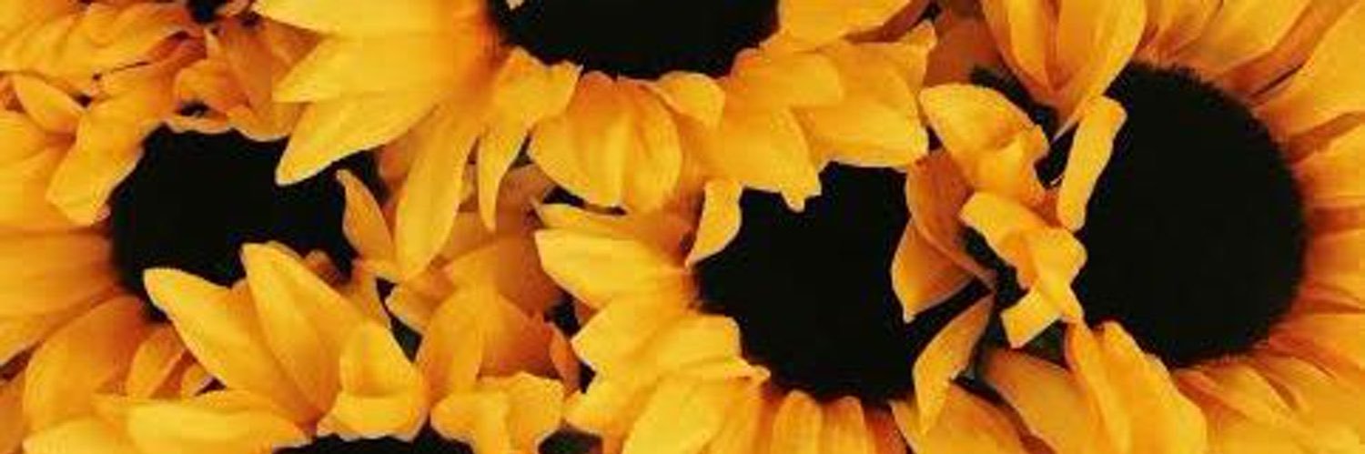 HadeelDarweesh's profile banner image