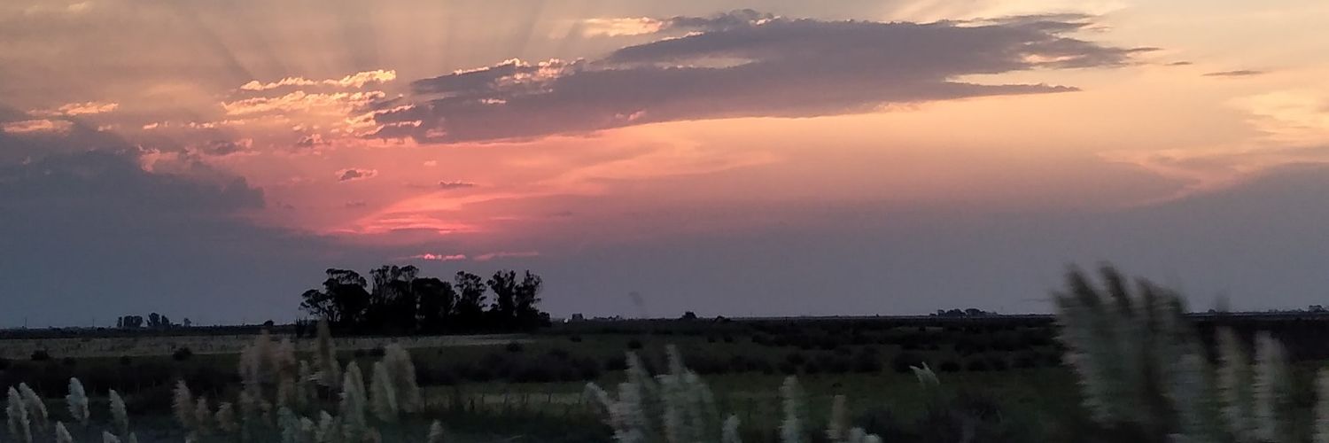 LunaAnto55's profile banner image