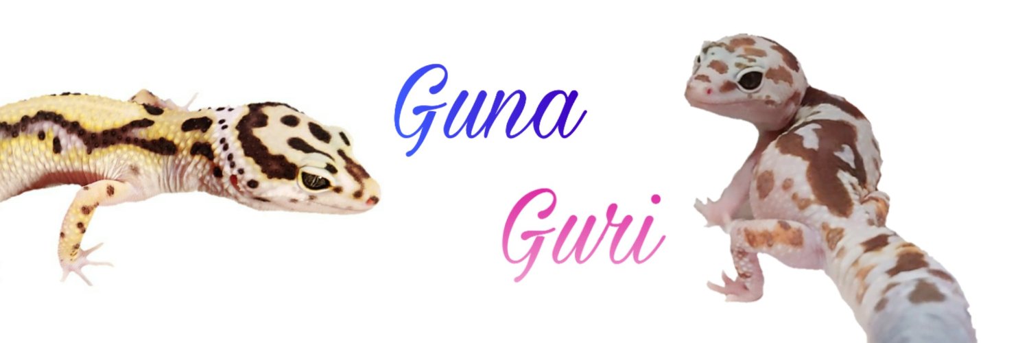 Fattail_chan's profile banner image