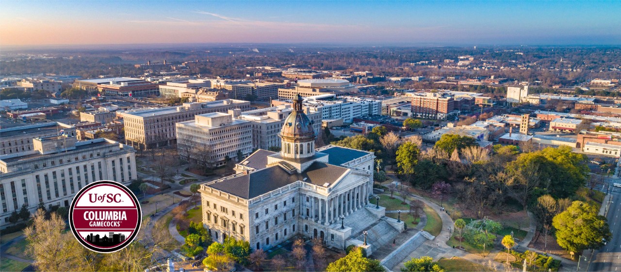 Cola Gamecocks banner