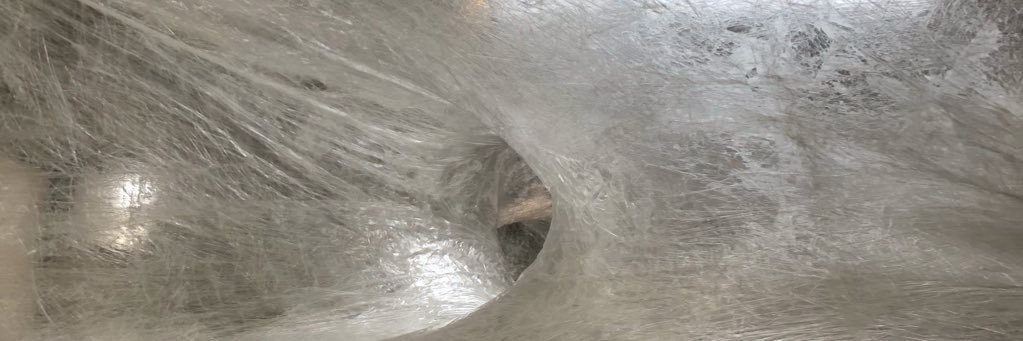 Dr. Britton Trabert, PhD, MS banner