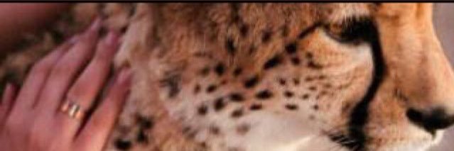 Danh126's profile banner image