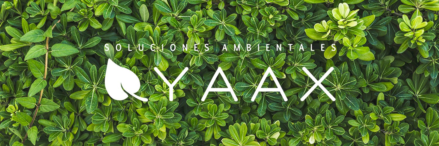 YaaxGroup's profile banner image