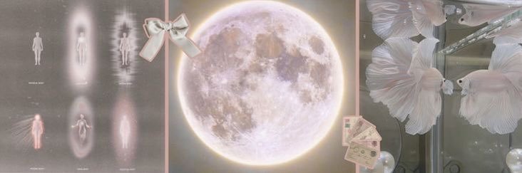 cryptkittn's profile banner image