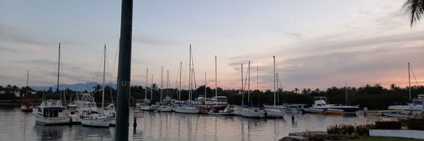 Haltart Profile Banner