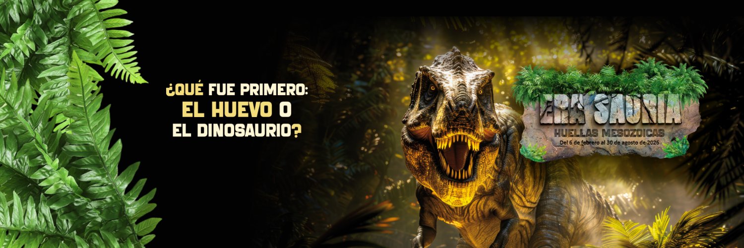 Centro Tolzú banner