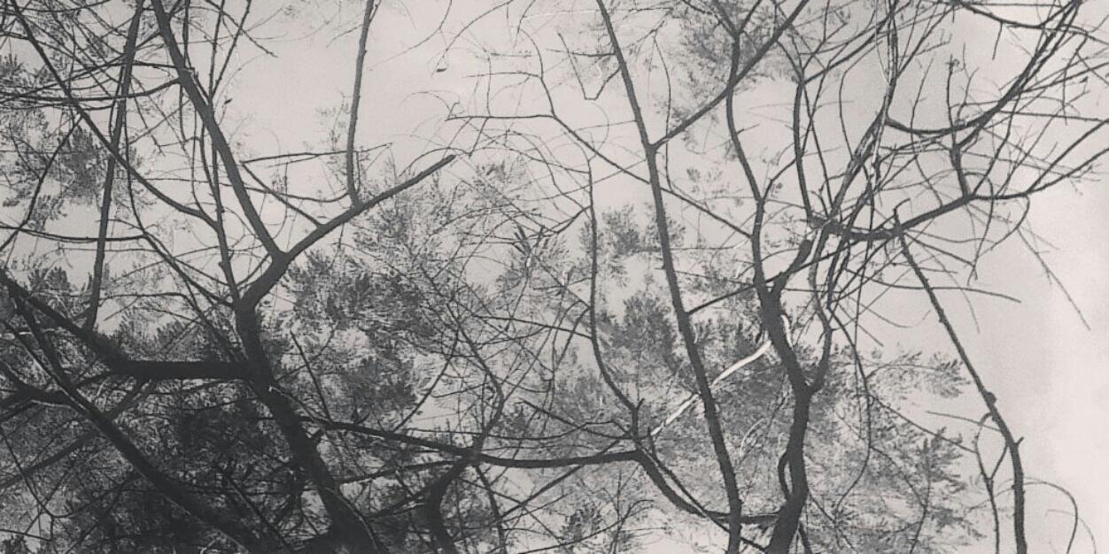 SoeryaR's profile banner image