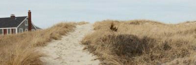 - banner
