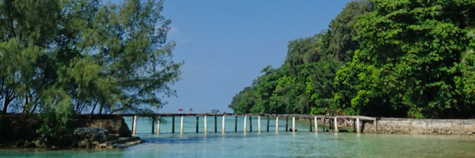 denboglenk's profile banner image