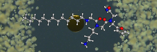 TheBickerLab Profile Banner
