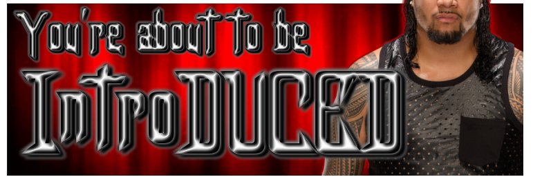 Ducey J. banner