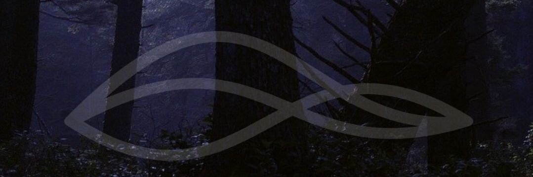 stephreiki's profile banner image