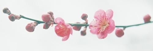 LaTokka's profile banner image