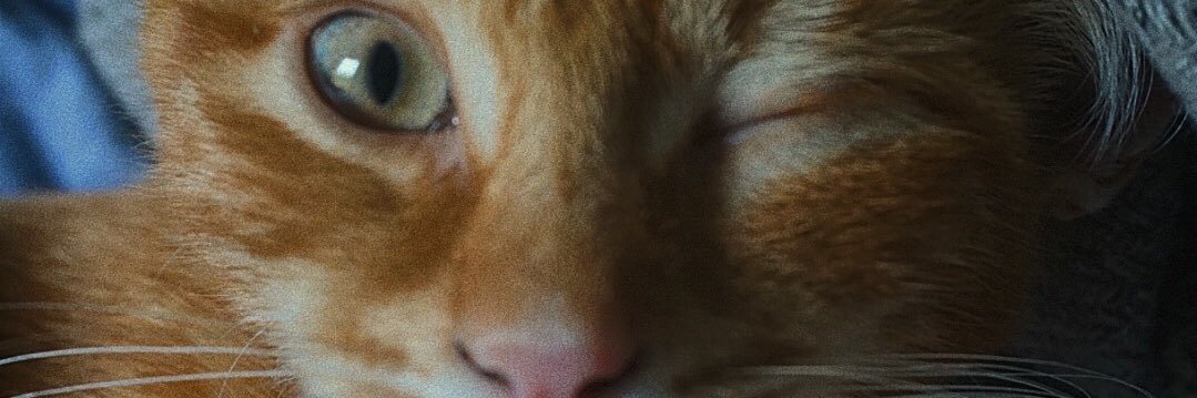 axellebld's profile banner image