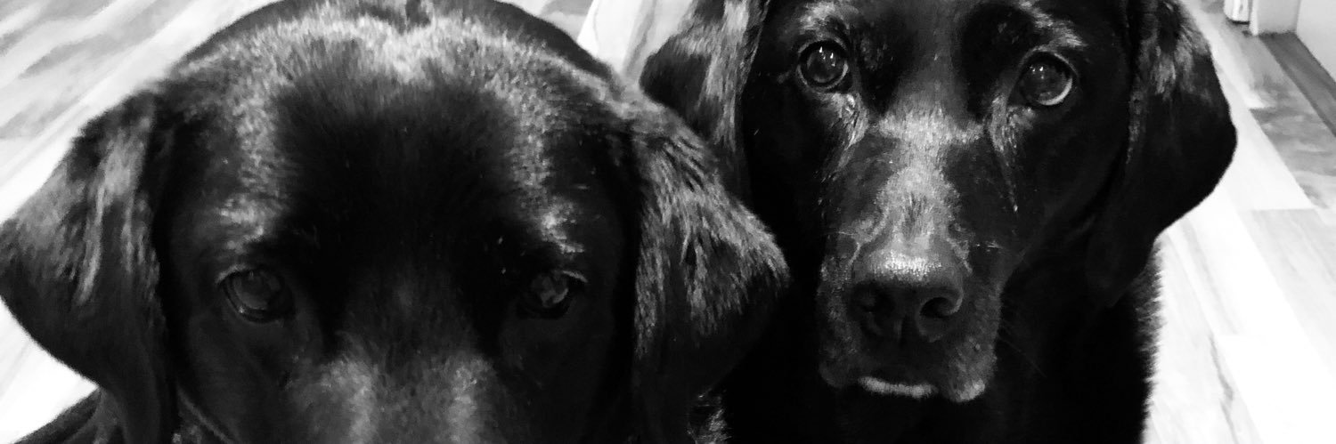 clarallison's profile banner image