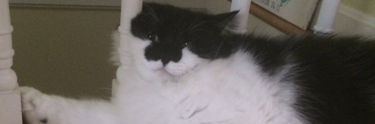 Ryan_J55's profile banner image