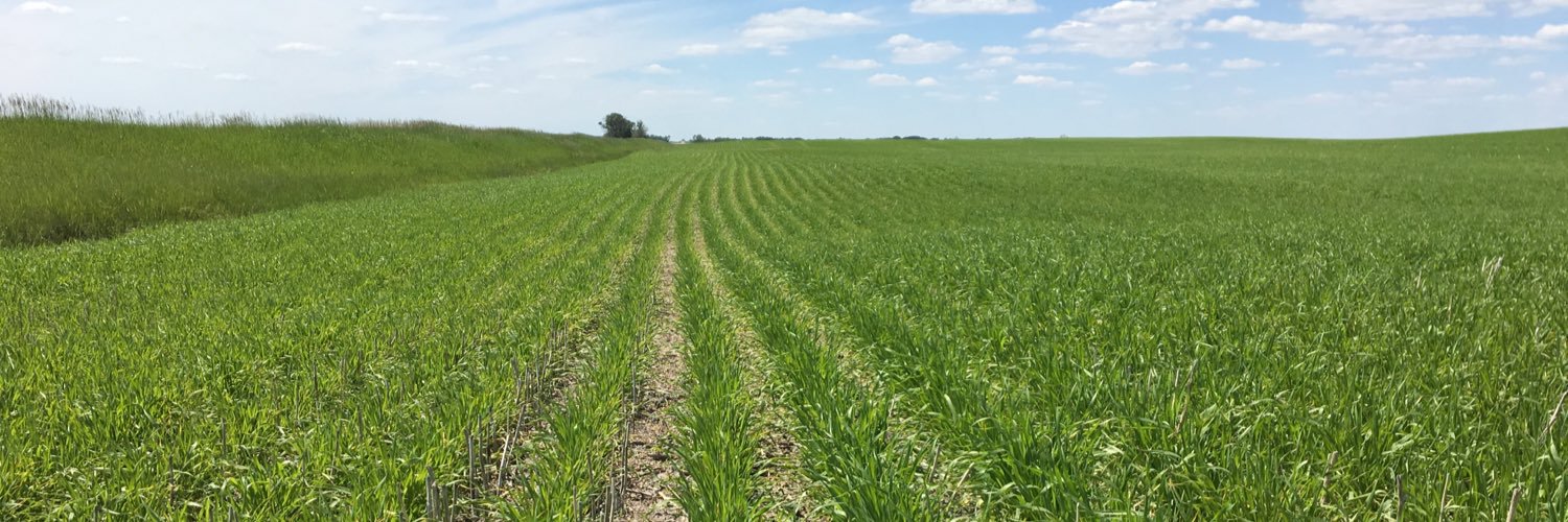 @VaderstadAndre banner