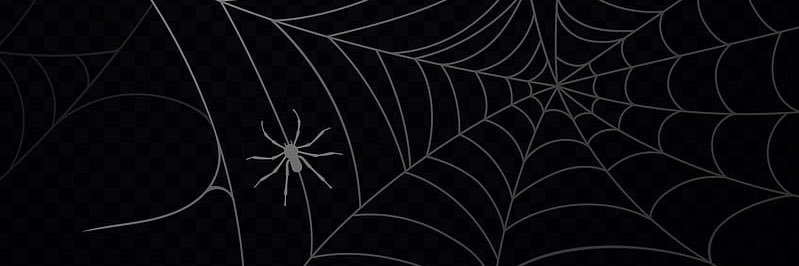 5MarQuisRoberts's profile banner image