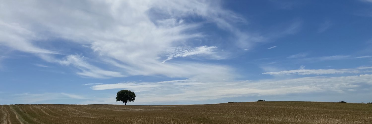 Dalibor Topić banner