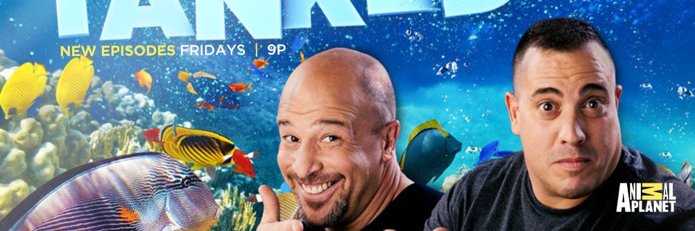 Acrylic Tank Manufacturing banner