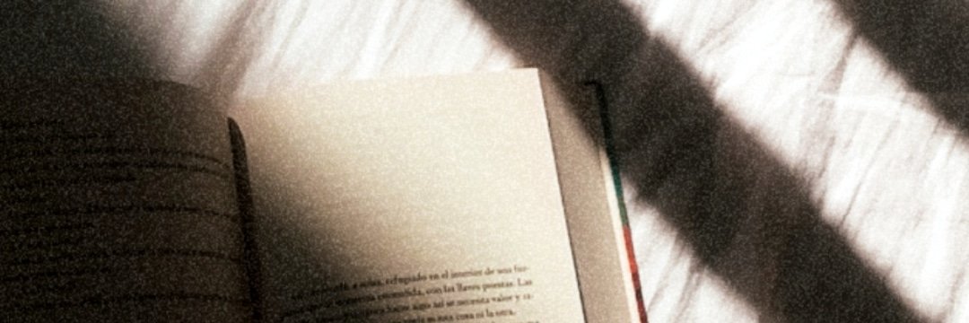 laviniamp_'s profile banner image
