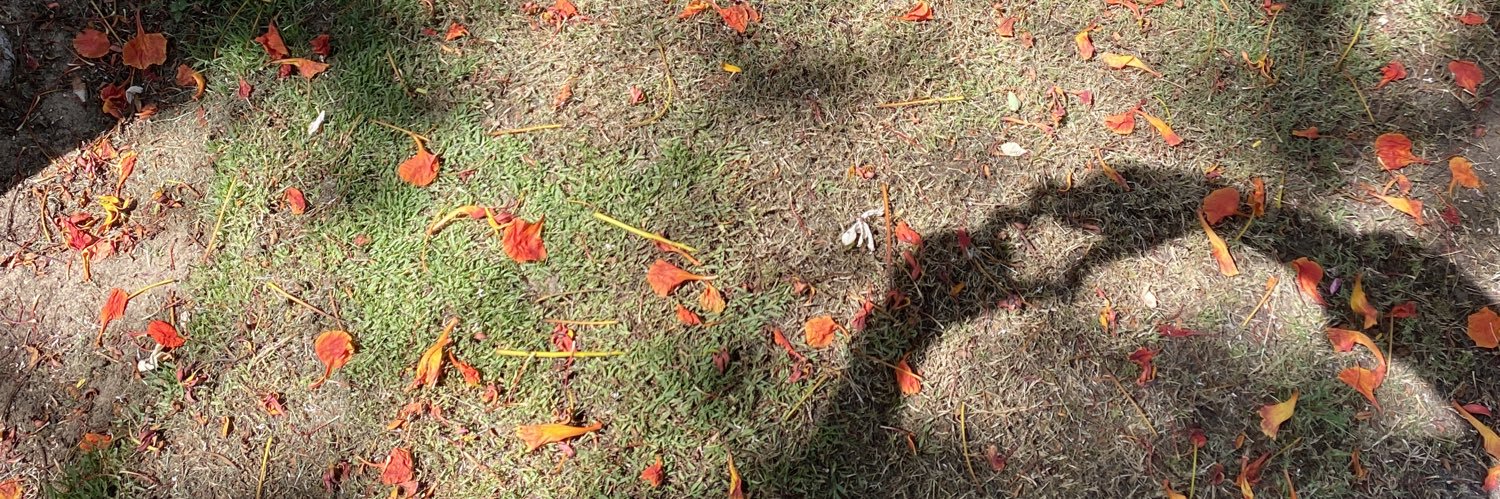 Rubaabdalkader's profile banner image