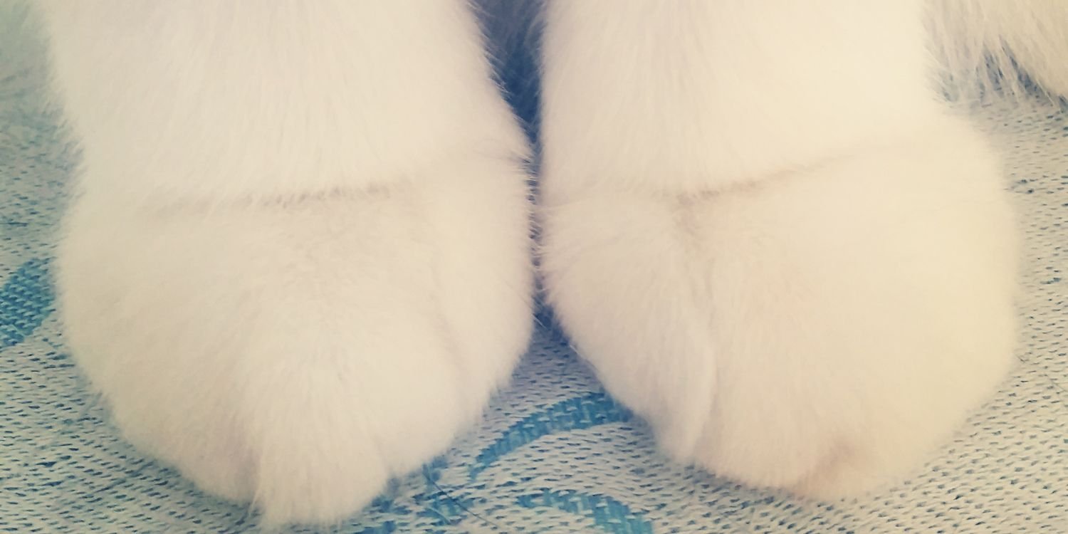 danielawnuk's profile banner image