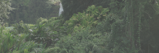 Liam_BeMine's profile banner image