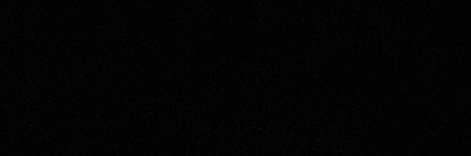 StringerSavanna's profile banner image