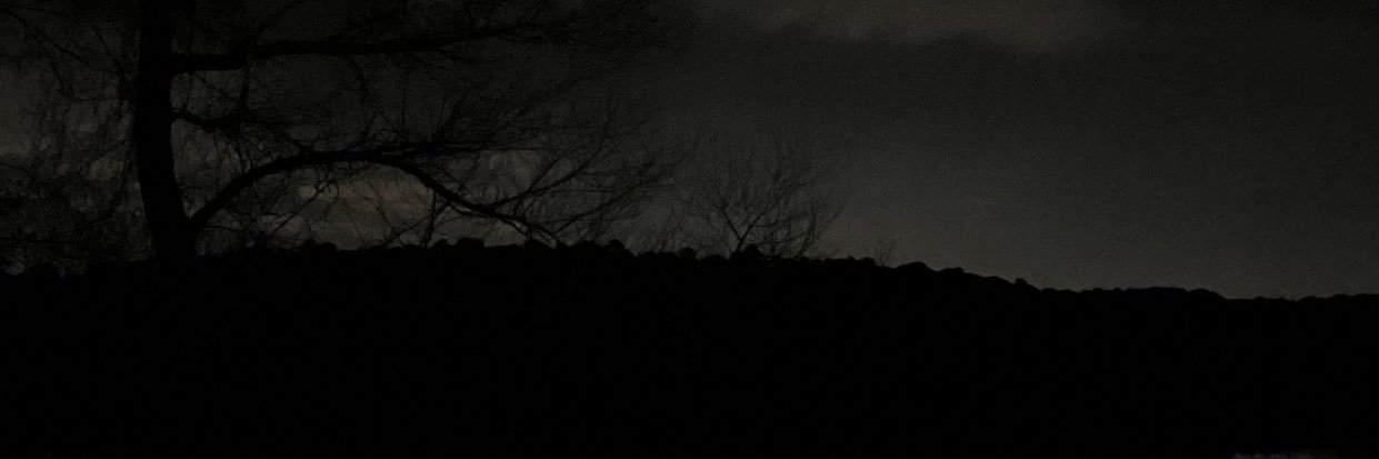 WickedRue__'s profile banner image
