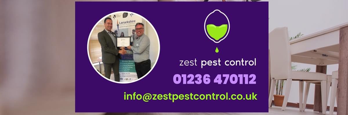 PestZest's profile banner image