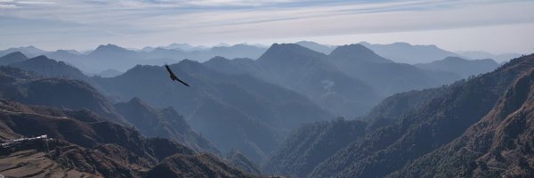 IPrathamDwivedI Profile Banner