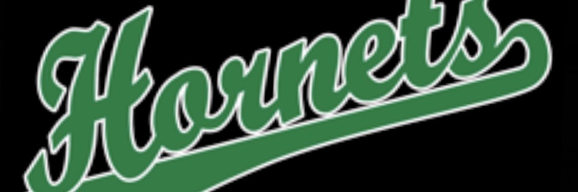 Student Government Association banner