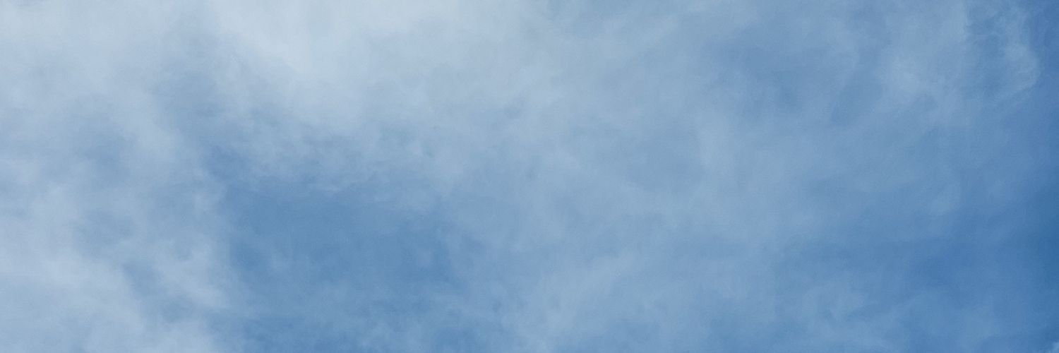 lauraborgesll's profile banner image