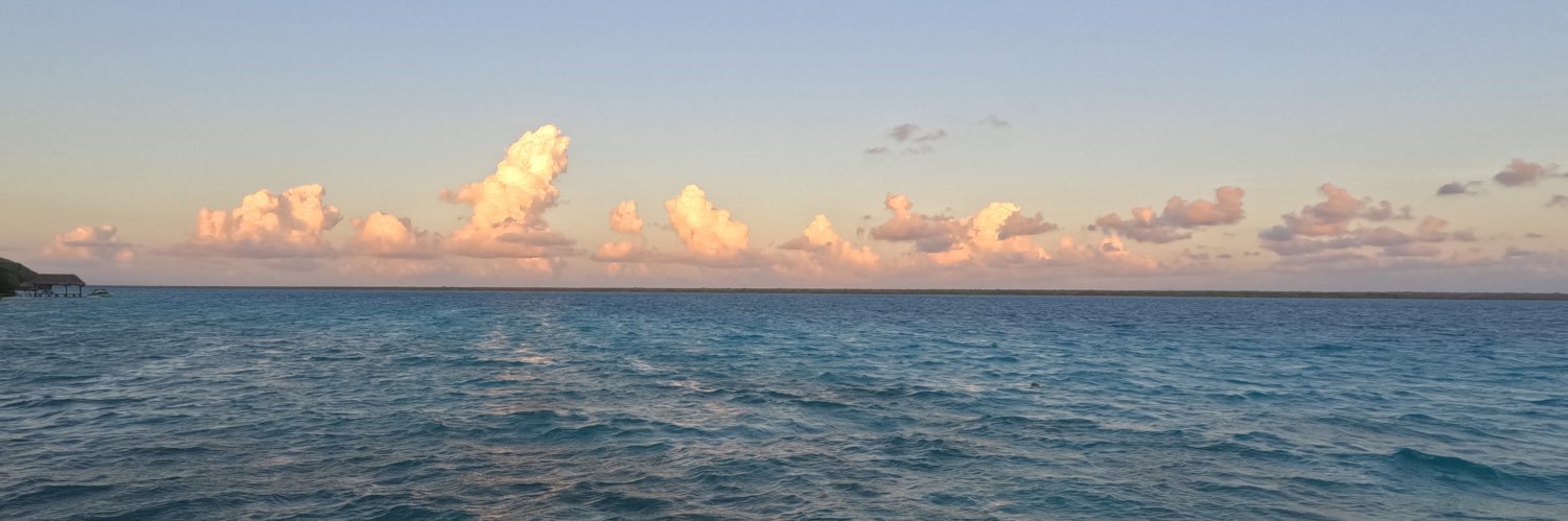 karrottwithk's profile banner image