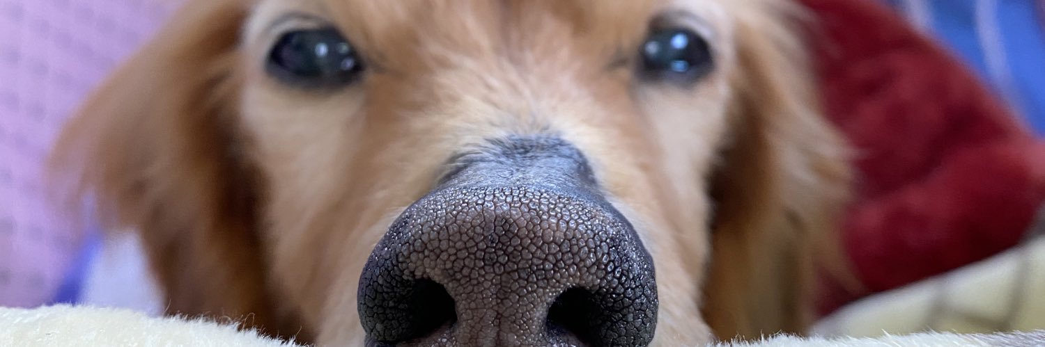 あっくんちのりっくん banner