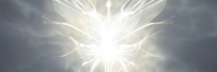 dociile's profile banner image