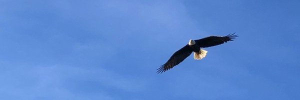 BarbTaylor06 Profile Banner