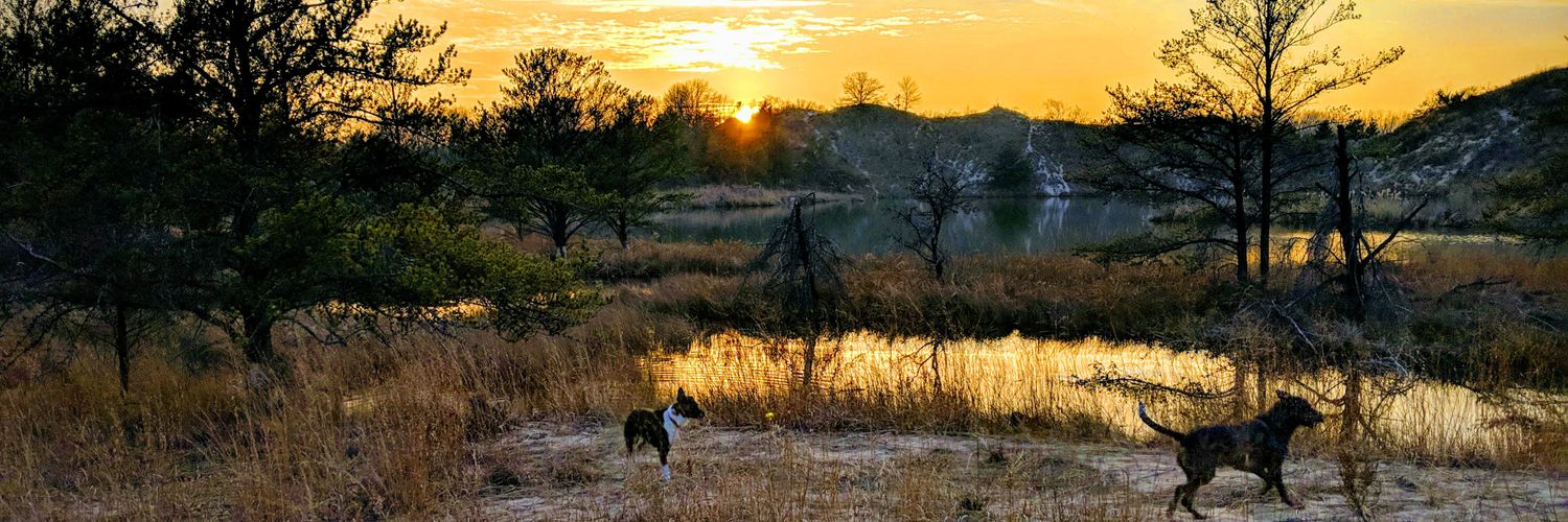 Dog guy's banner