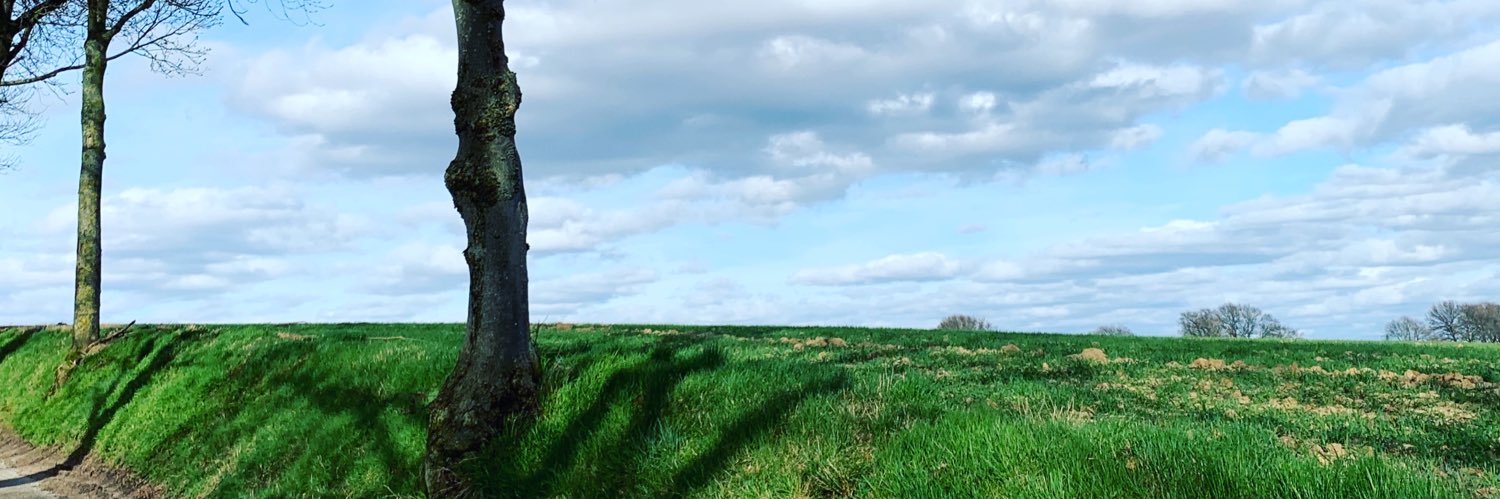 Twinkerbelll's profile banner image