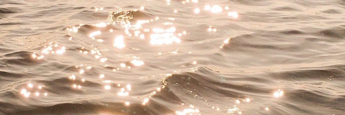 gaia's banner