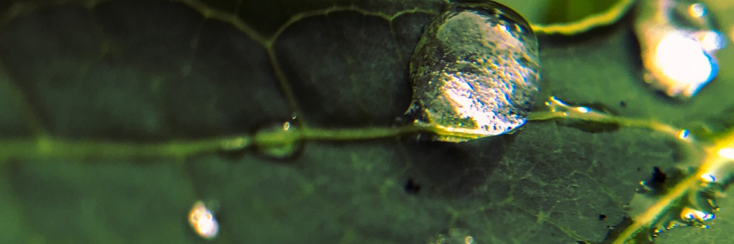fairudden24's profile banner image