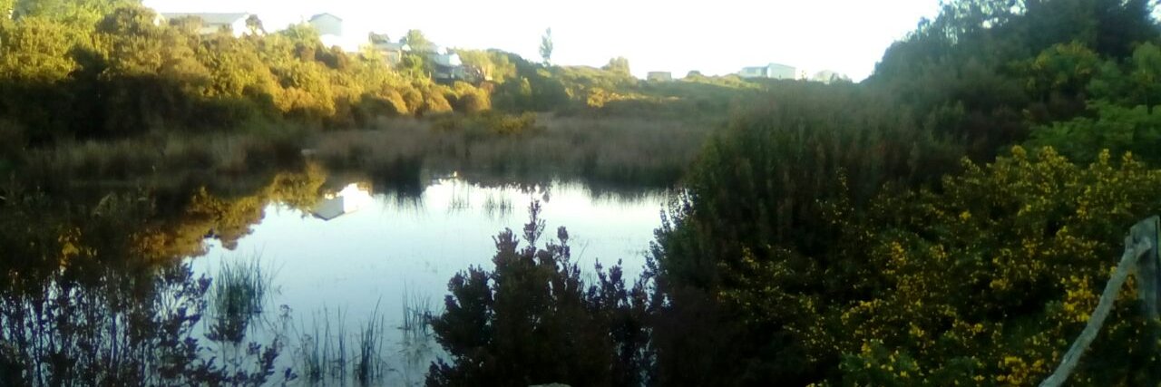 Defendamos_Gamboa banner