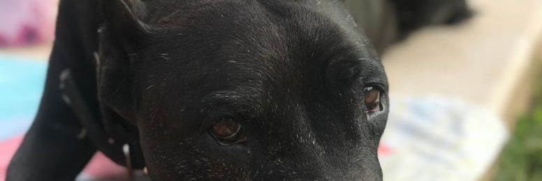 fbernardelli_'s profile banner image