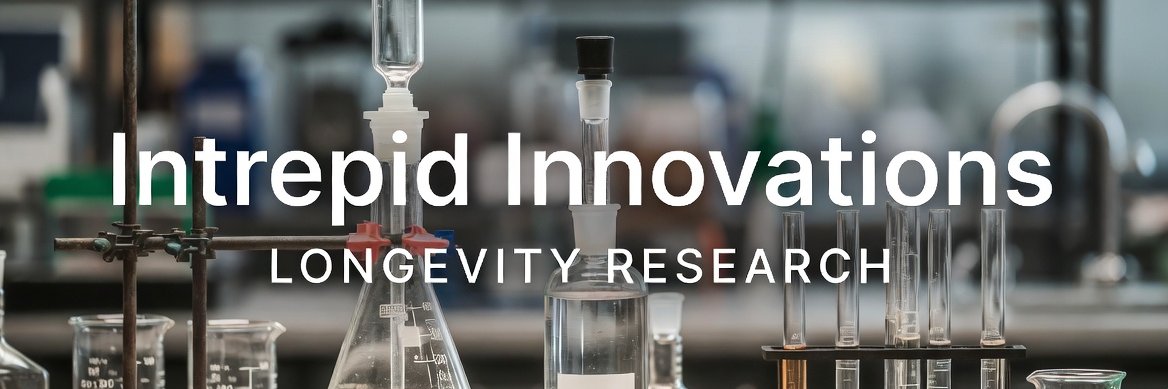 Intrepid Innovations banner