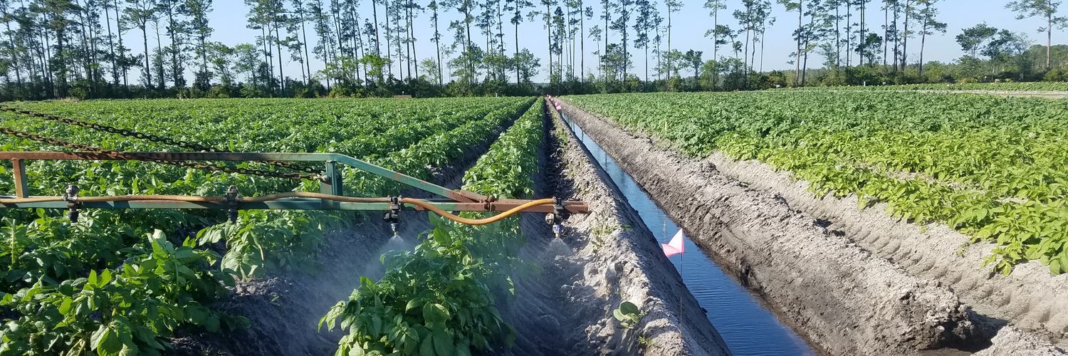 Field & Veg UF ppath banner