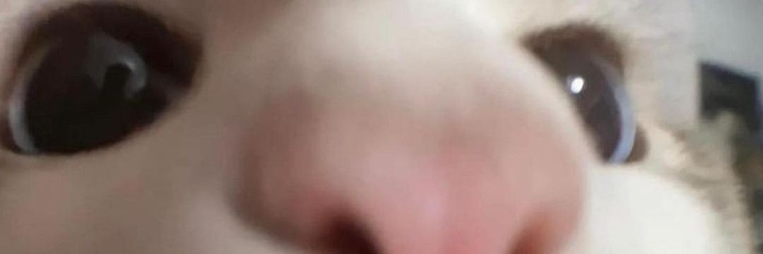 Mohspice4's profile banner image