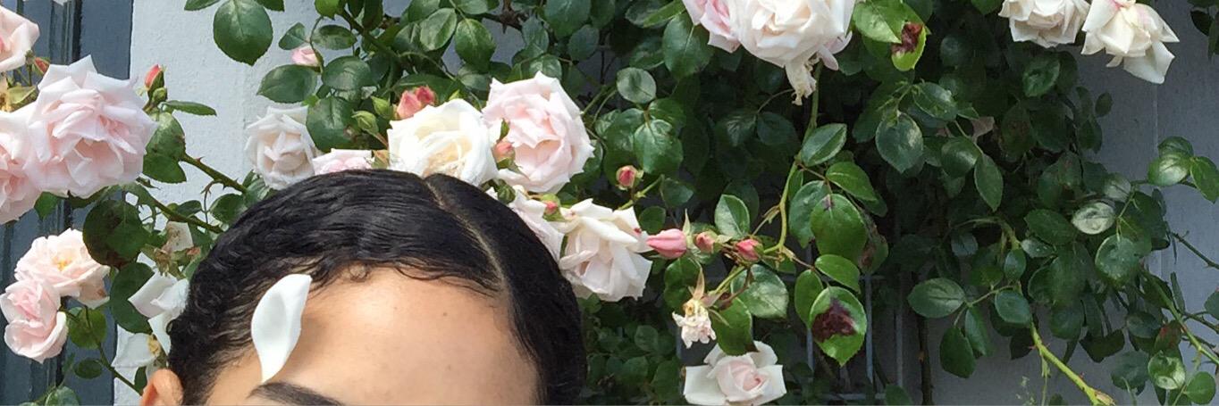 TanzSoir's profile banner image
