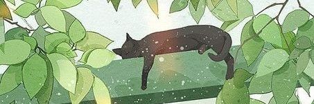 Mimi_Zafira's profile banner image